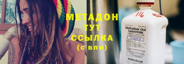 прущие грибы Покровск