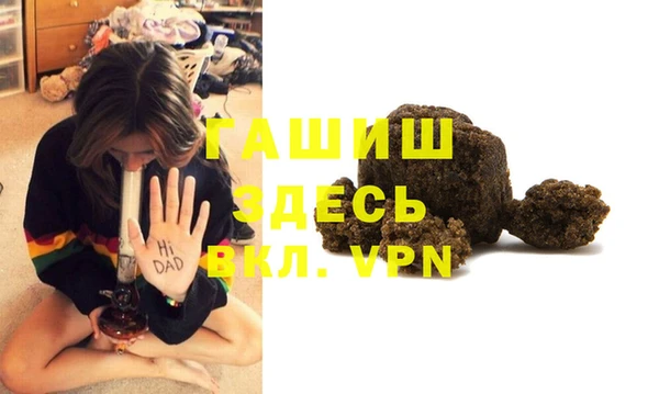 шишки Покачи