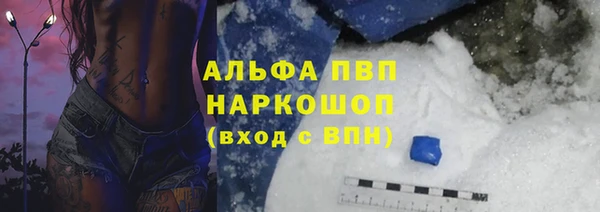 шишки Покачи