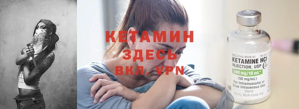 шишки Покачи