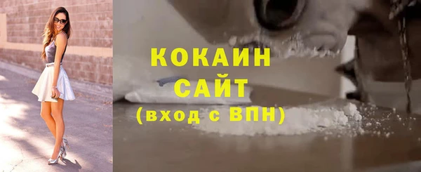 шишки Покачи