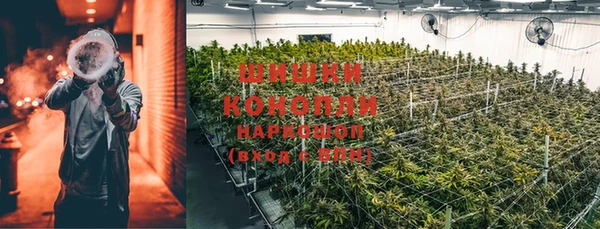 шишки Покачи