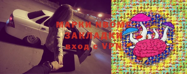 шишки Покачи