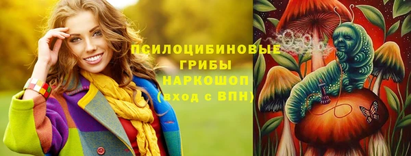 шишки Покачи