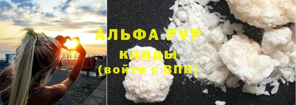 шишки Покачи