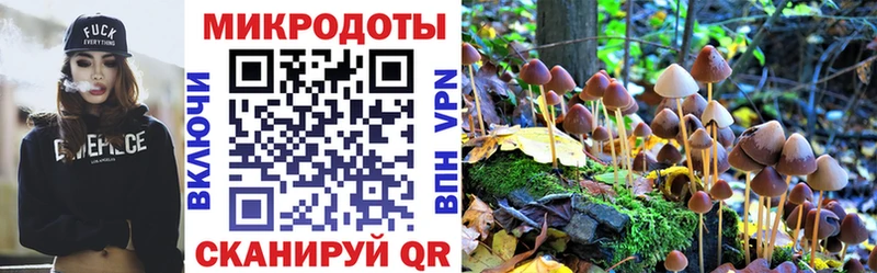 Купить где Щигры Псилоцибиновые грибы MAGIC MUSHROOMS